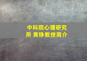 中科院心理研究所 黄铮教授简介